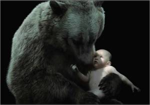 oso acuna bebé
